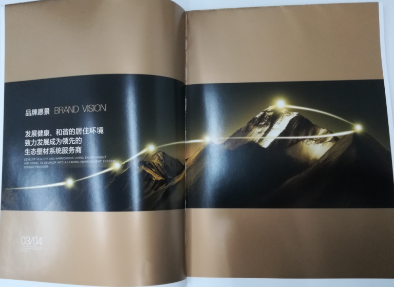 洛迪環(huán)?？萍计髽I(yè)宣傳畫冊印刷圖2